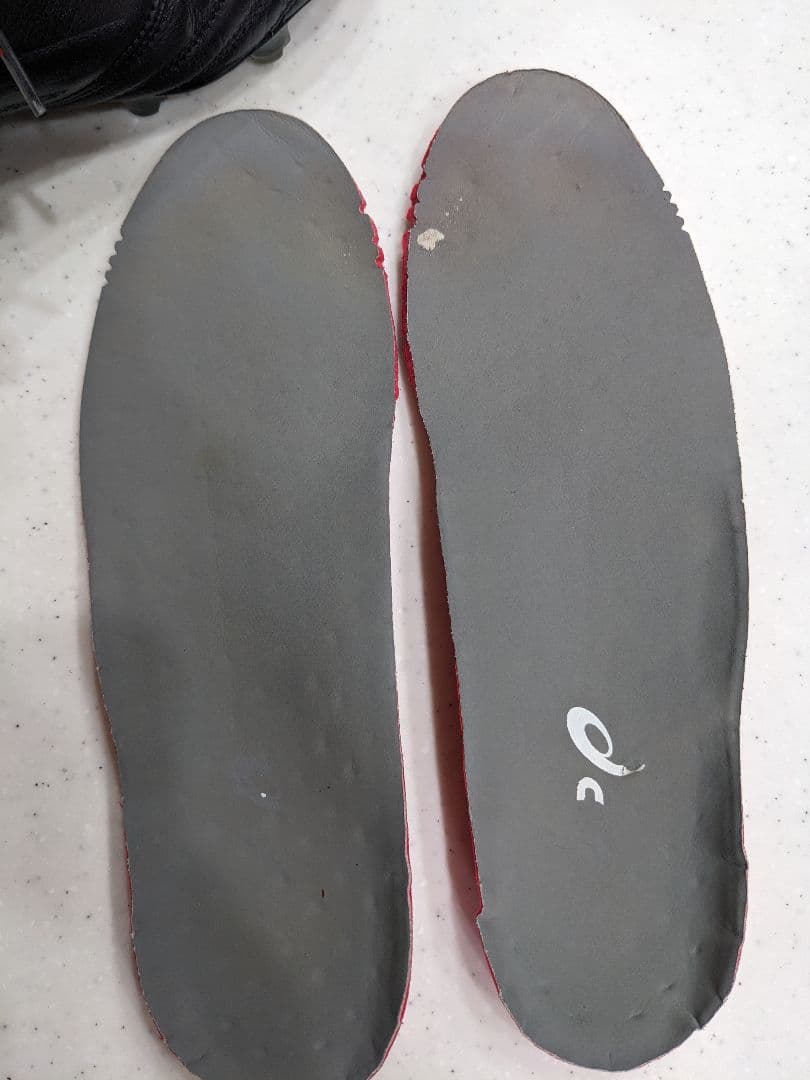 【25.0】asics DSライトx-fly4 JAPANブラック