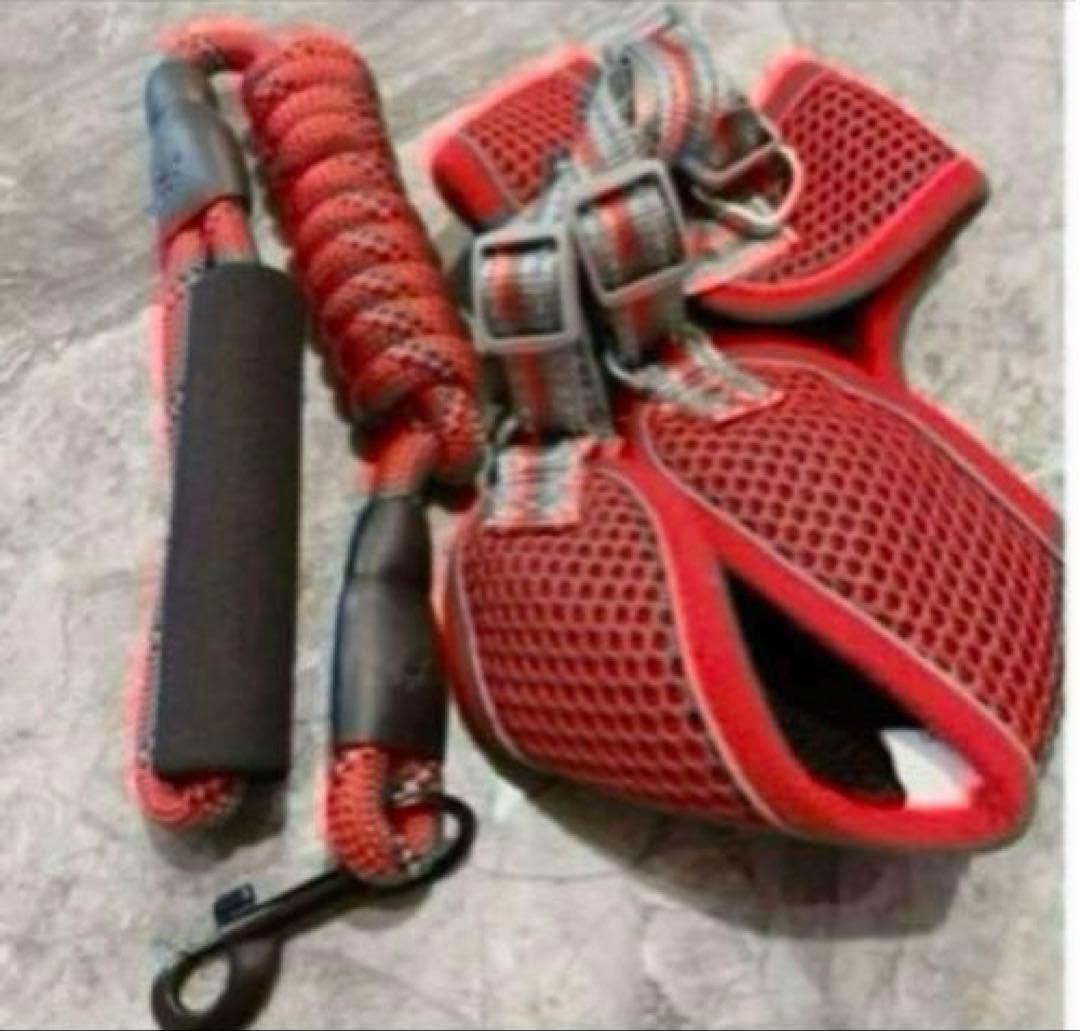 【2XL】ハンドル付きパッド入りシートベルト フロンクリップ式パピーベスト