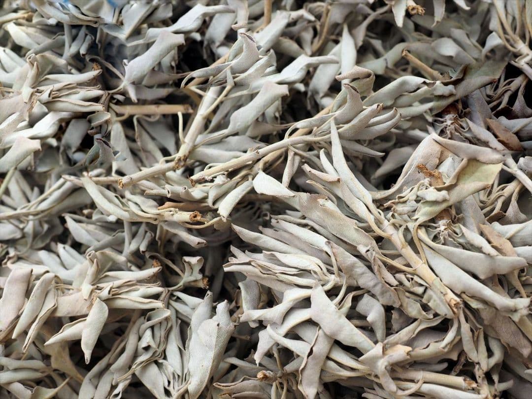 ★特選再入荷★無農薬カリフォルニア産【箱配送1kg高品質ホワイトセージ】❤️