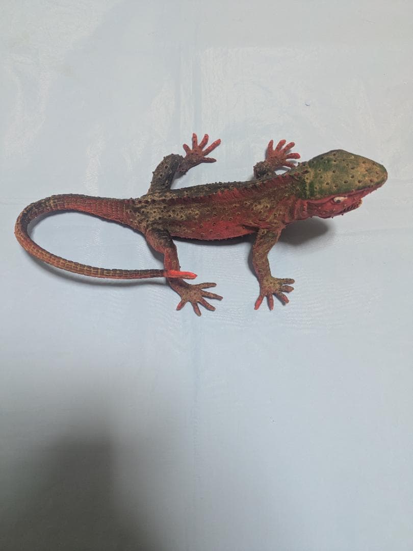 トカゲ プラスチック フィギュア シマテン