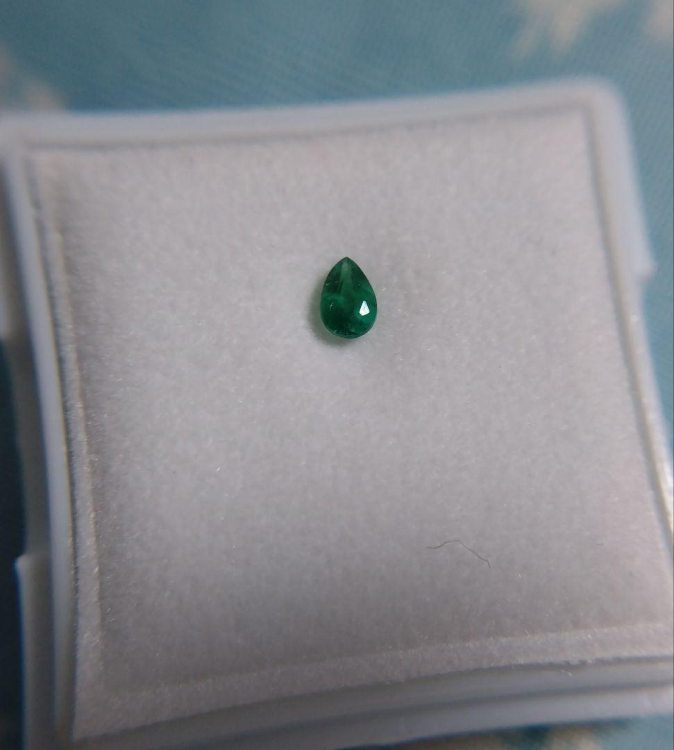 【激レア】グリーンアウイナイト（ソーティング付）