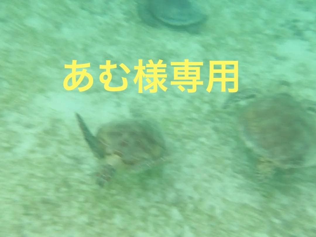 レジンアート海(あむ)