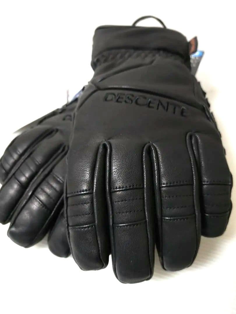 DESCENTE デサント デサント スノーグローブ DWAWJD53