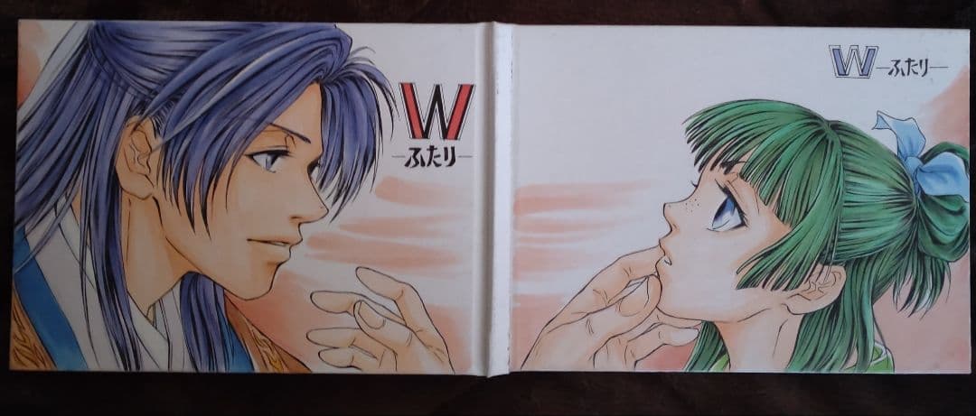 【けい】手描きイラスト集　『W』~ふたり~