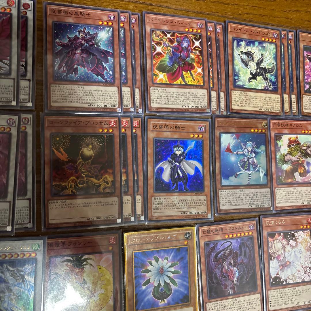 遊戯王 ローズドラゴン デッキ 本格構築 ガチ寄り ブランブルローズ