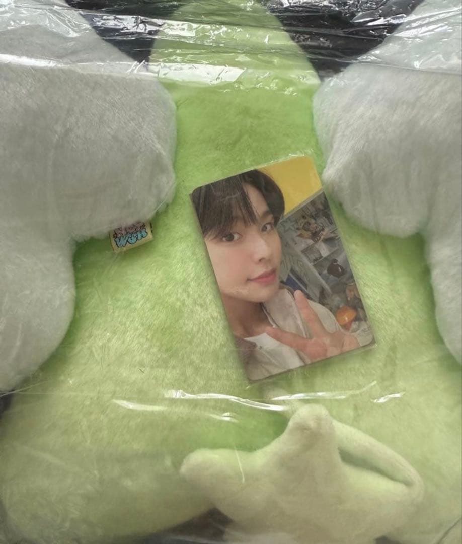 nctwish リク　ウィチュ　クッション　wichu