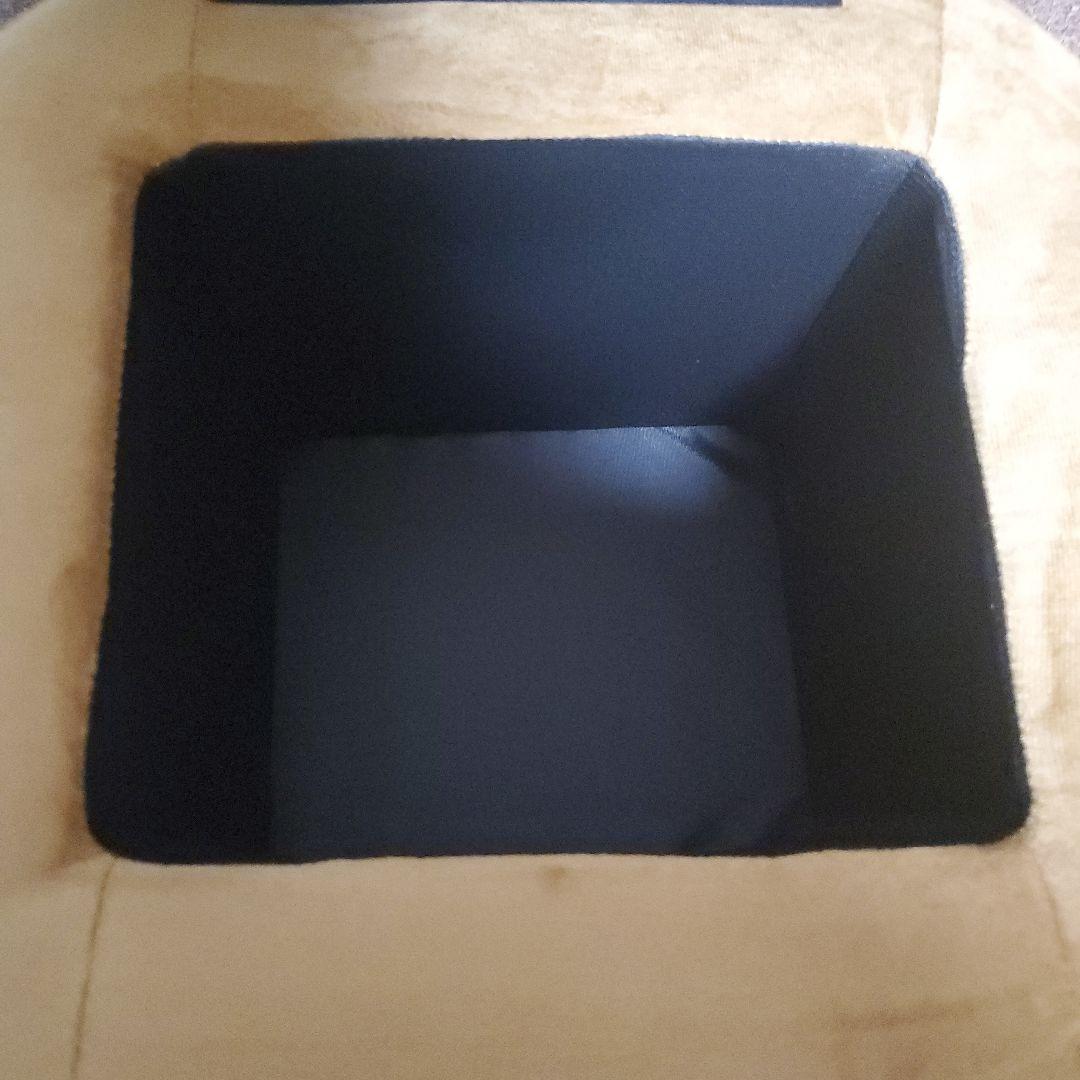 ビッパ　ポケモンセンター