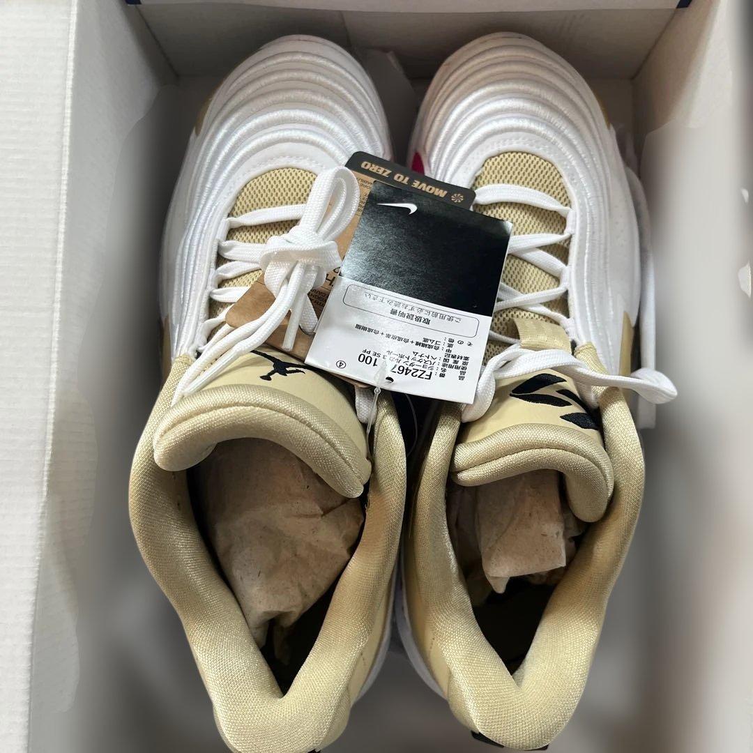 Jordan Luka 3 SE PF 27cm ルカ3 ジョーダン　NIKE