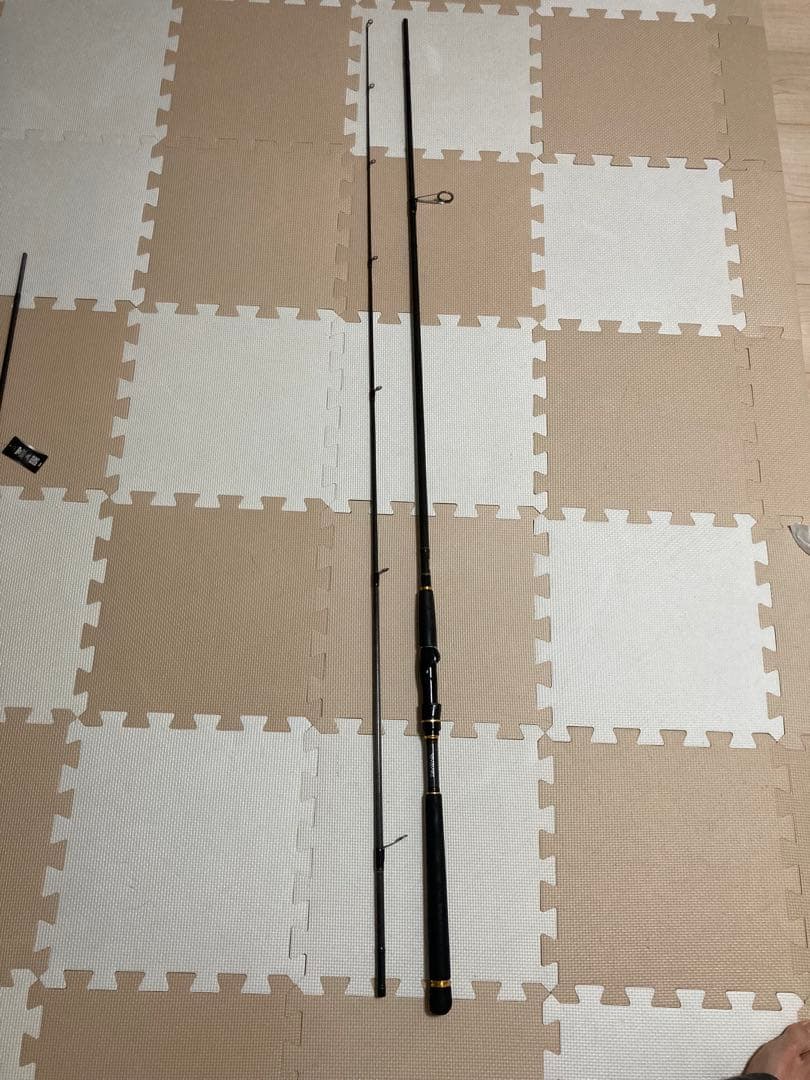 シーバスロッド ラテオ96m-Q ダイワ