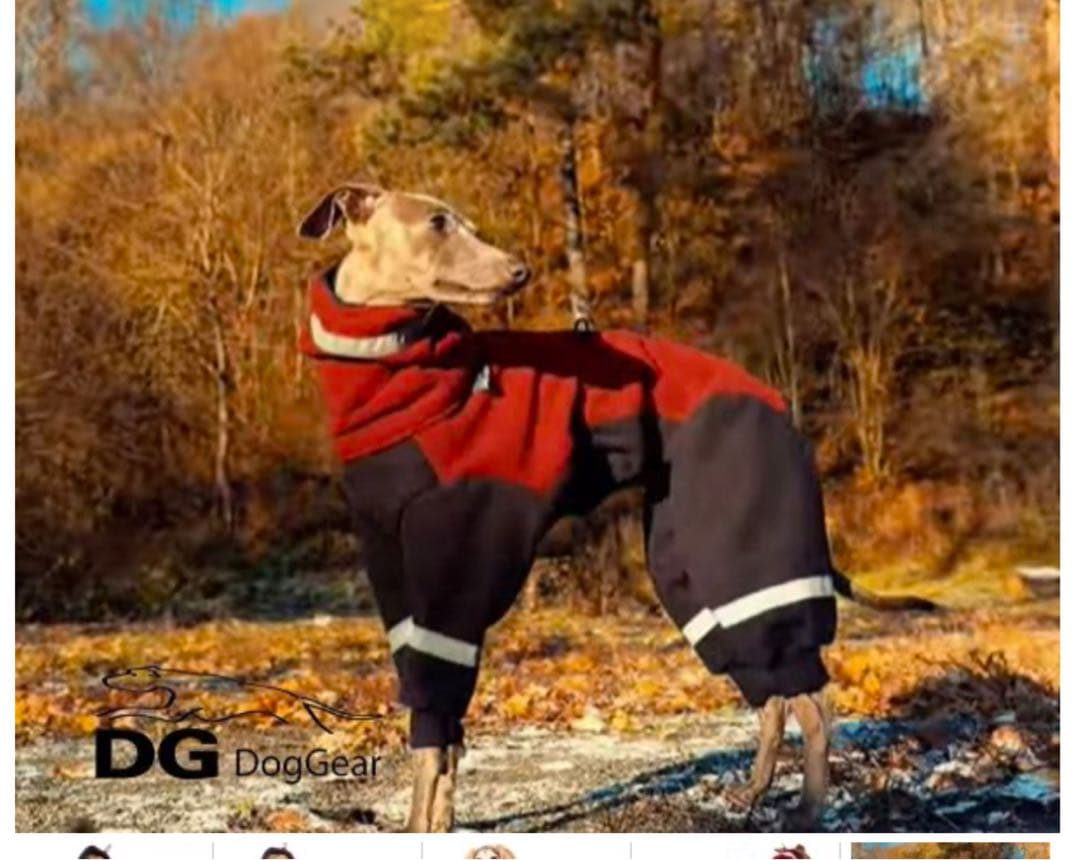 DogGear 高機能フリースジャンプスーツ　イタグレ