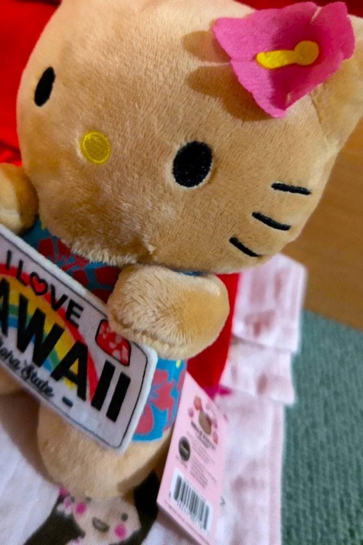 ◎ハワイ限定 ぬいぐるみ日焼けキティ人魚マーメイドとナンバープレートキティ2点