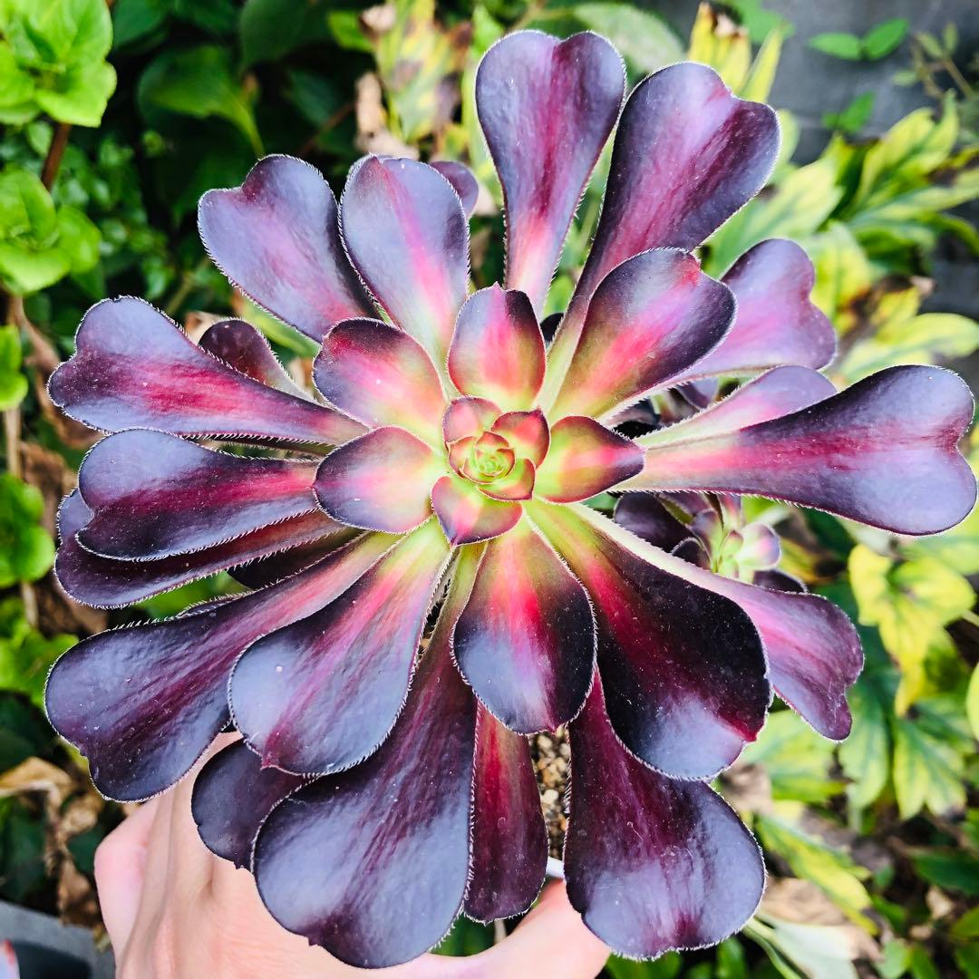 mrk様 リクエスト 6点 まとめ商品