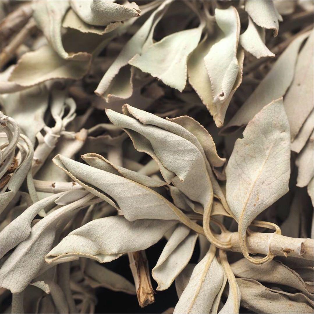 ★特選NEW★無農薬カリフォルニア産【箱配送150g高品質ホワイトセージ】❤️