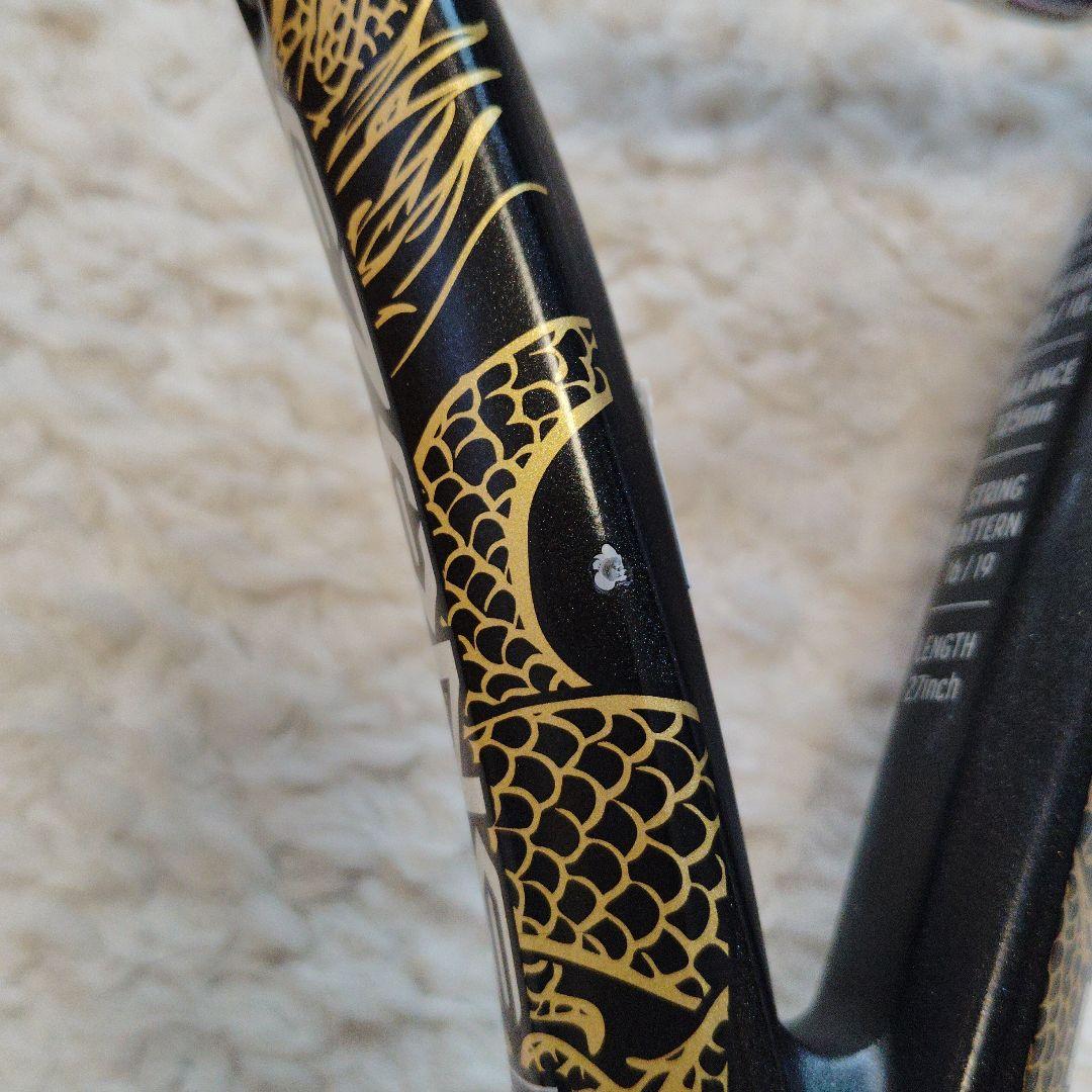 イーゾーン OSAKA100L グリップG2