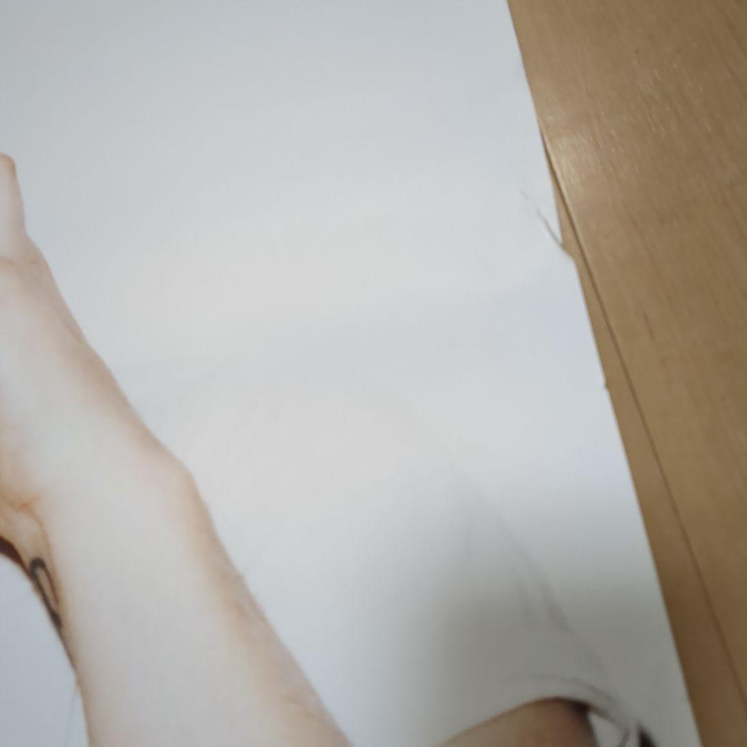 レディーガガ　ポスター　シュプリーム