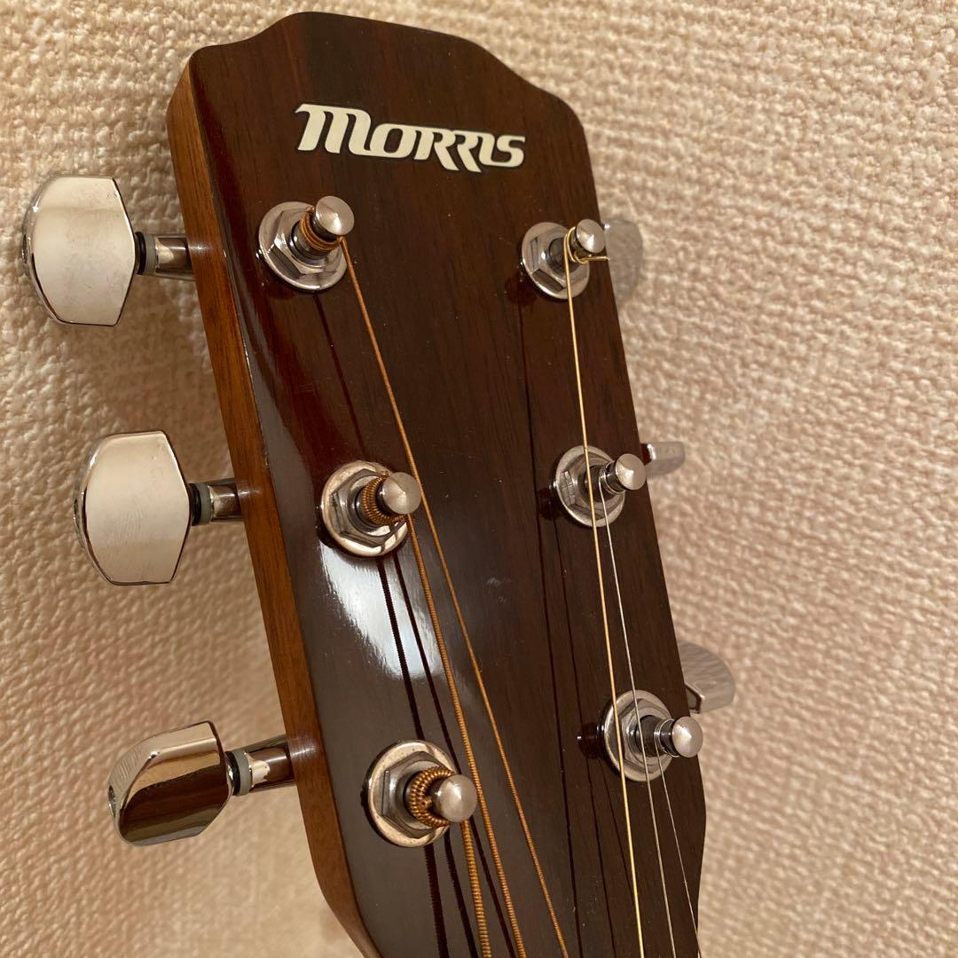 Morris M01 モーリス　アコースティックギター