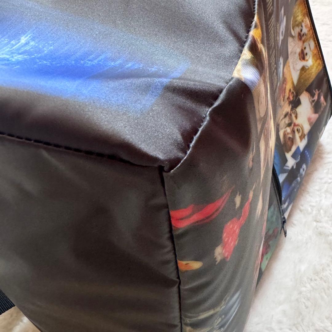 【新品同様】Disney land ワンマンズドリームⅡ カメラバッグ　リュック