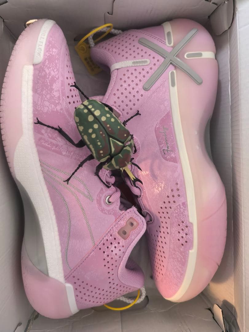 Lining wade shadow6 桜