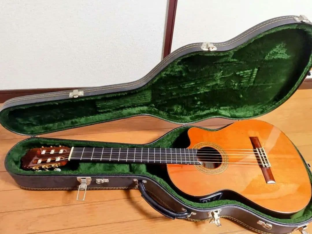 Jose Ramirez 4N-CWE / L.R.Baggs Anthem搭載