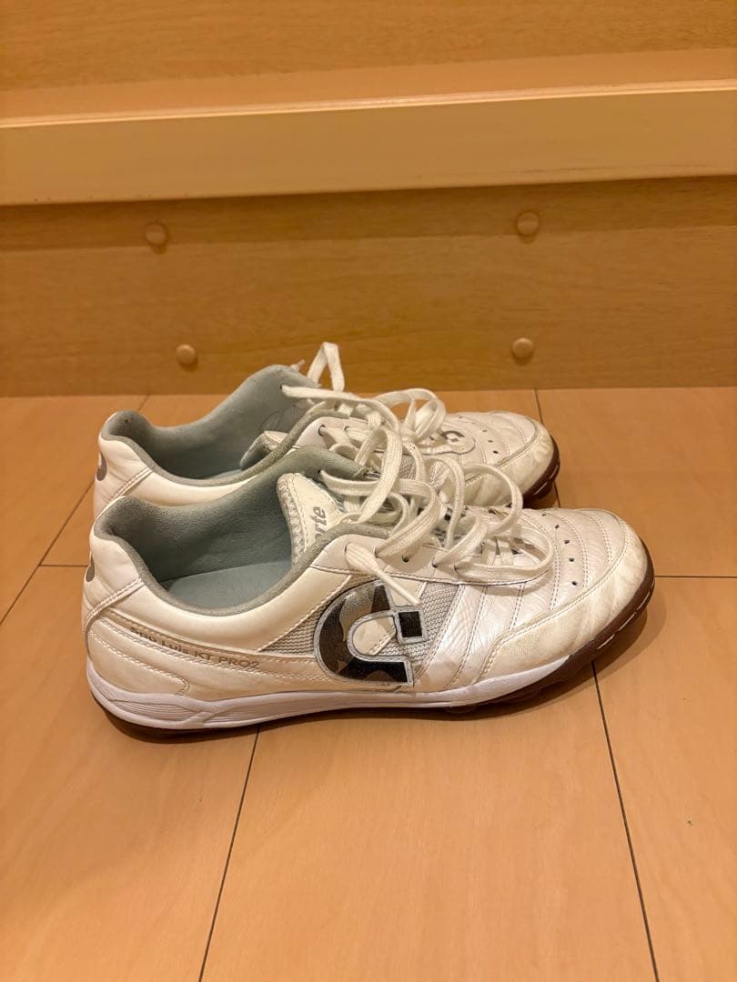 Desporte デスポルチ フットサルシューズ