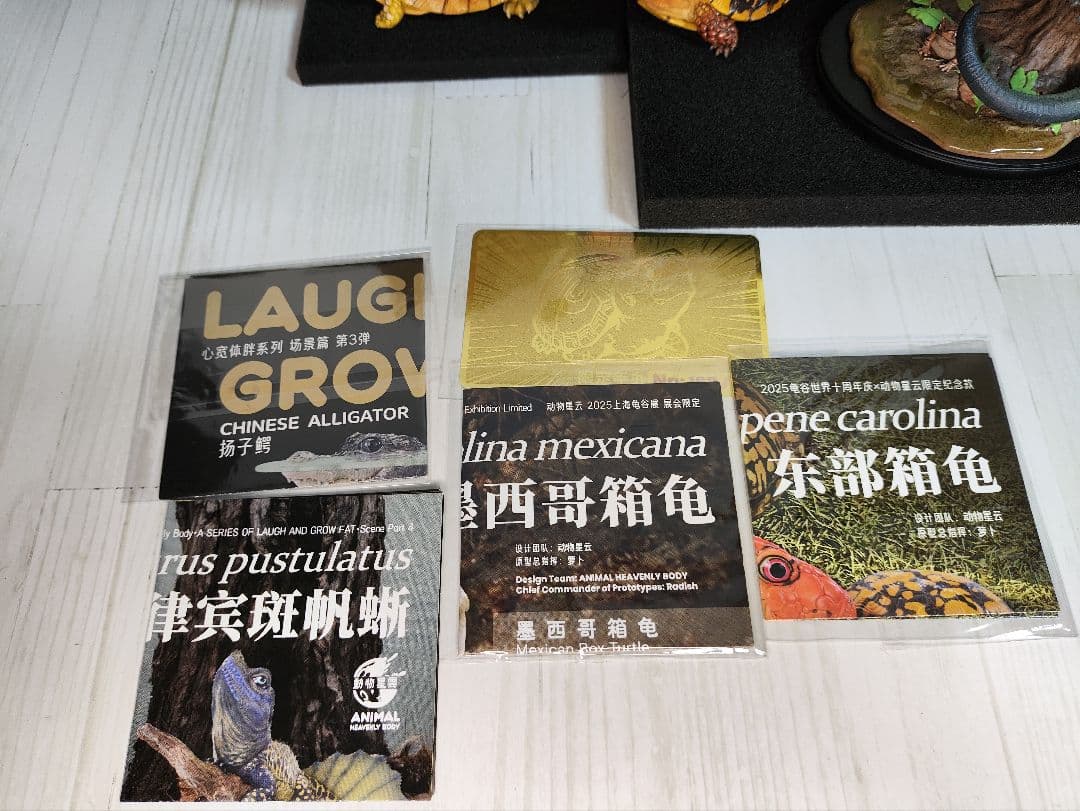 【動物の惑星】★上海展覧会限定ハコガメ2種類★ジオラマ第3、4弾! フィギュア