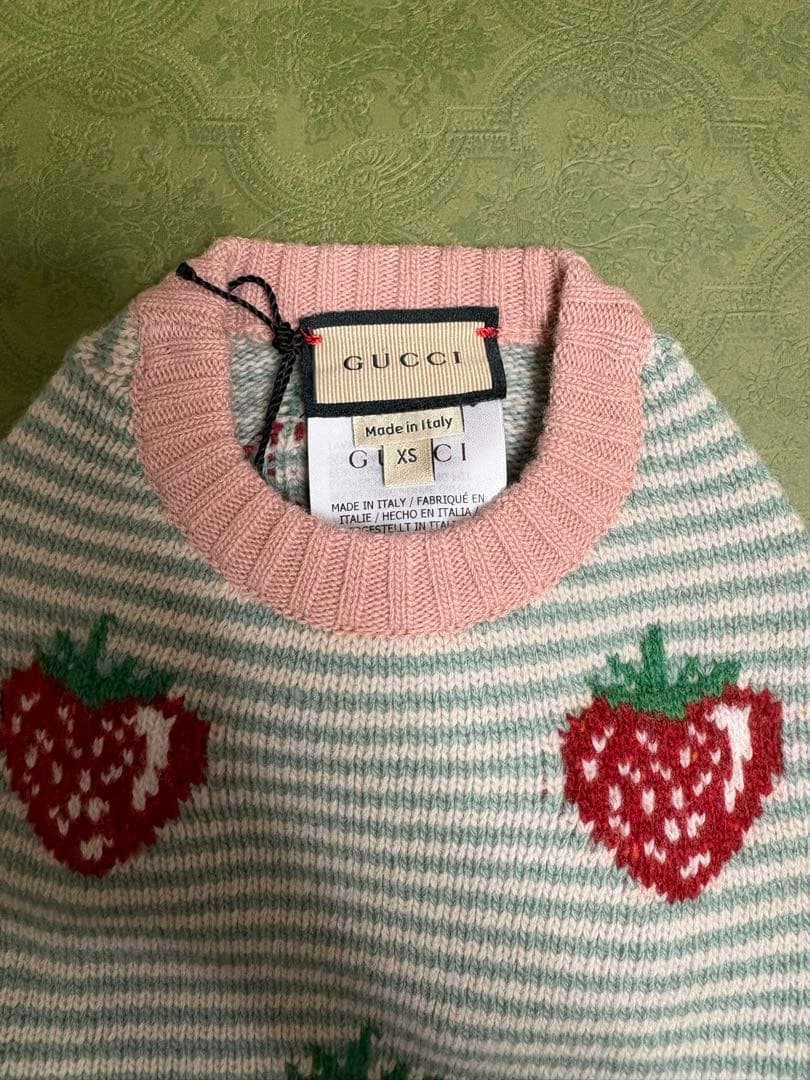 GUCCI グッチ　犬用品　洋服　XSサイズ