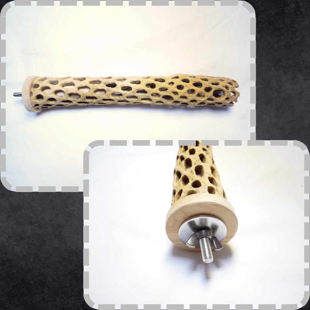 鳥用品　止まり木　カクタス　スケルトン　パーチ　特大No.216