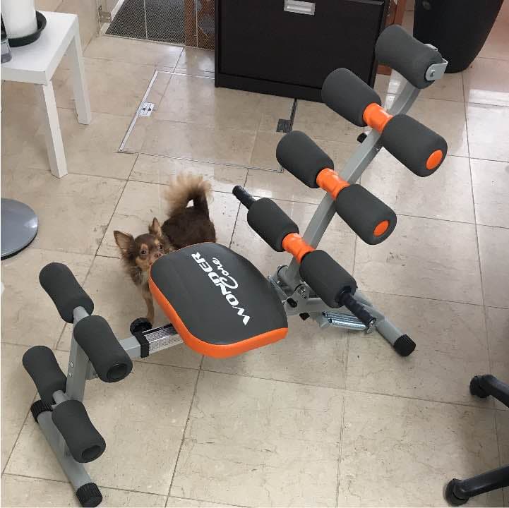 ワンダーコア  WONDＥR  COｒe