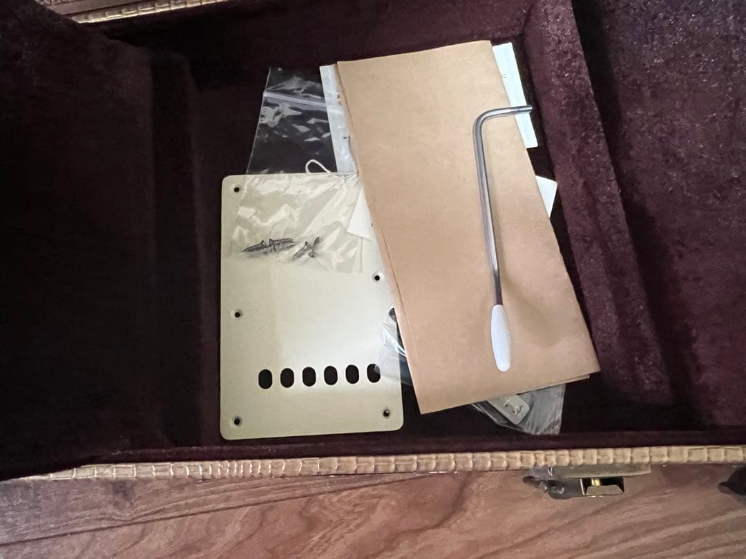 nashguitars ストラトキャスター S57