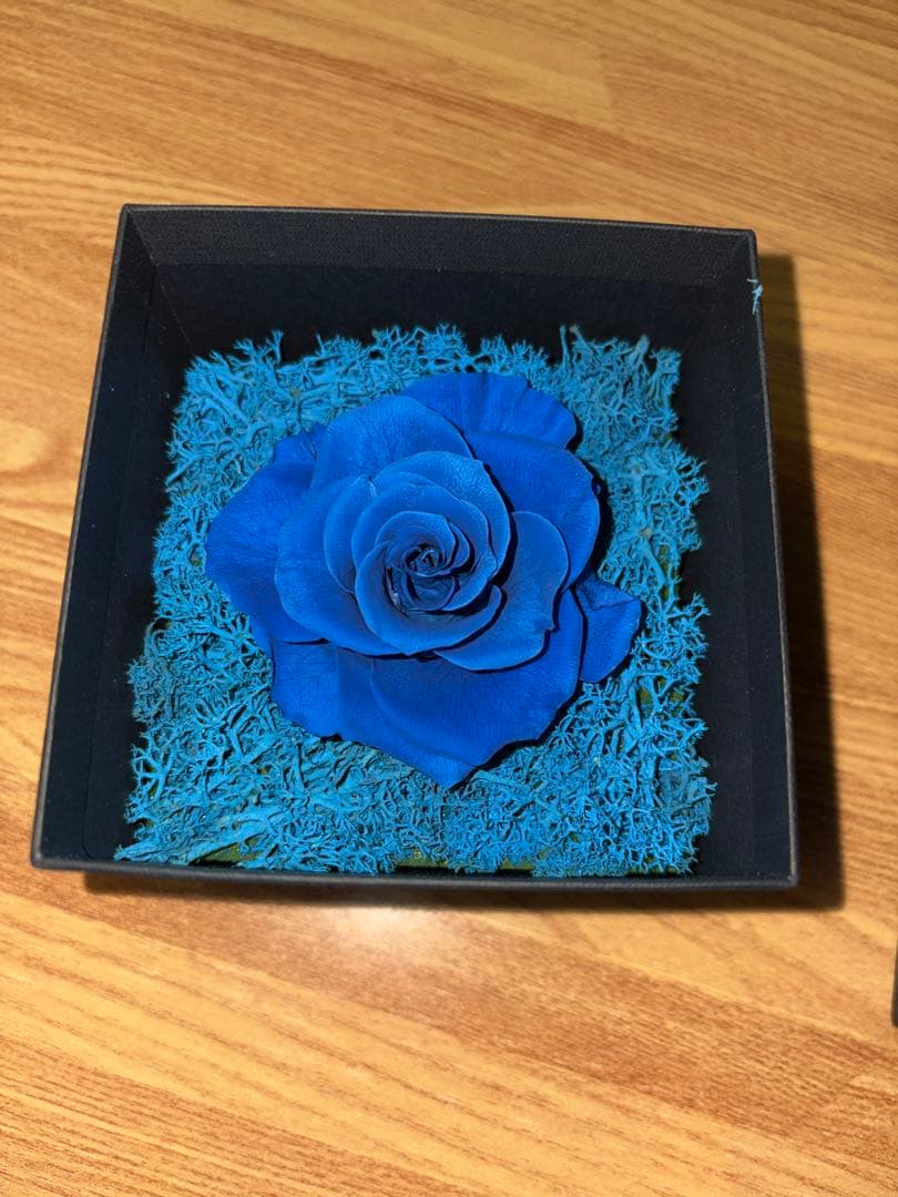 Ado 心臓 VIP席特典　プリザーブドフラワー　銀テープ　リボン