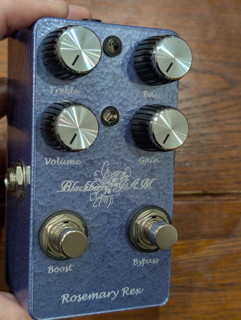 ギター Blackberry Jam Rosemary Rex