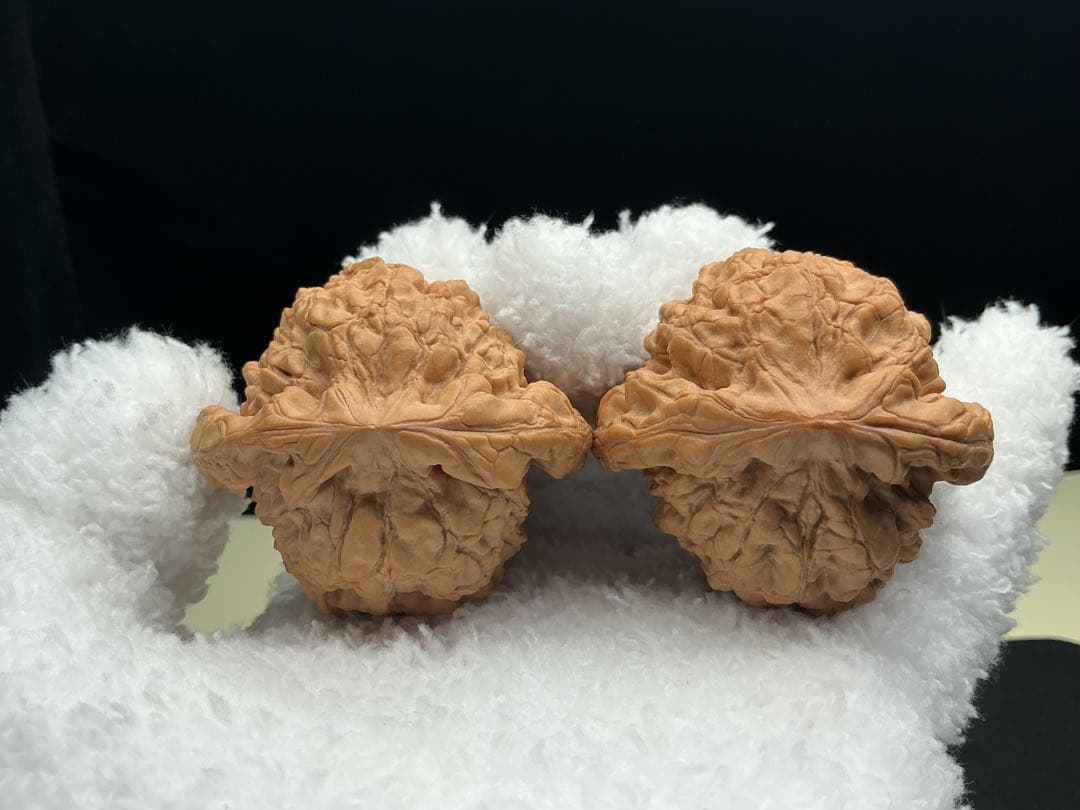 文玩堂：「龍鼎獅子頭 卒業級」51mm 最終価格