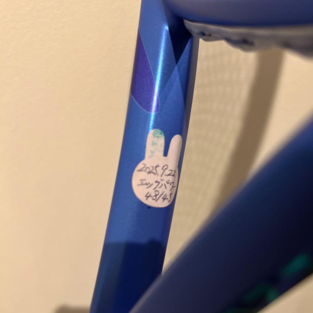 2025年　ヨネックス　Eゾーン300g G1テニスラケット