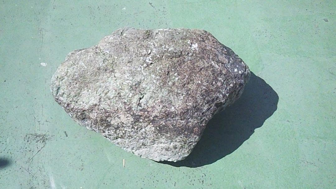 ｍ.天然石　埼玉県寄居　蛇紋岩　11ｋｇ　観賞用、庭石、水石、盆栽、盆石