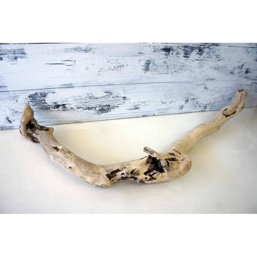 流木 ３本セット インテリア 大型サイズ オブジェ 登り木 爬虫類 送料無料