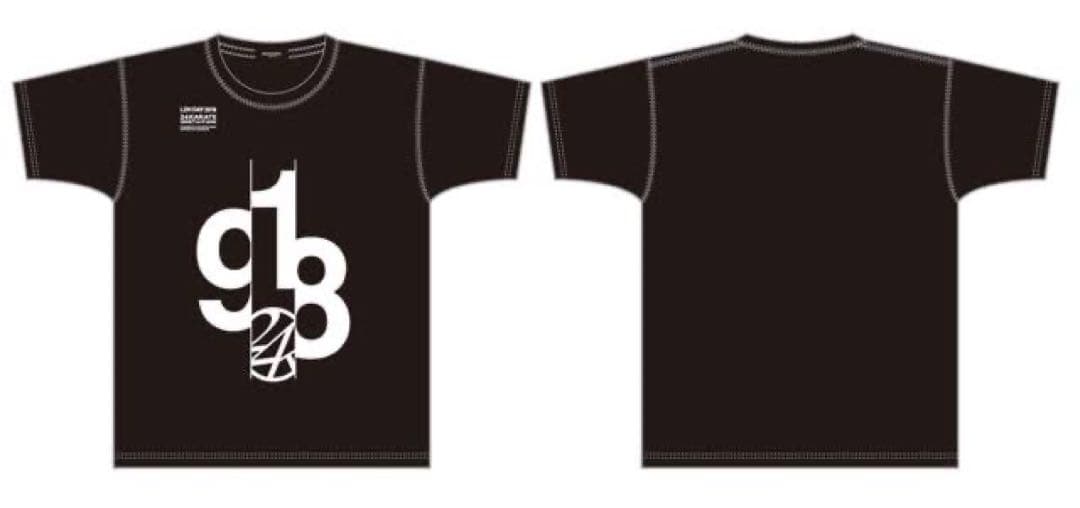 2018年LDH DAY 限定パーカー Tシャツ 新品