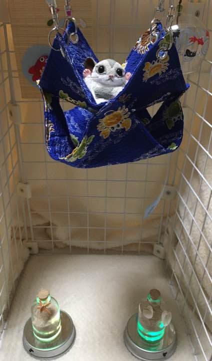 モモンガハウス (カニ柄) 夏仕様  涼しい夏生地を使用❗️ 1450円