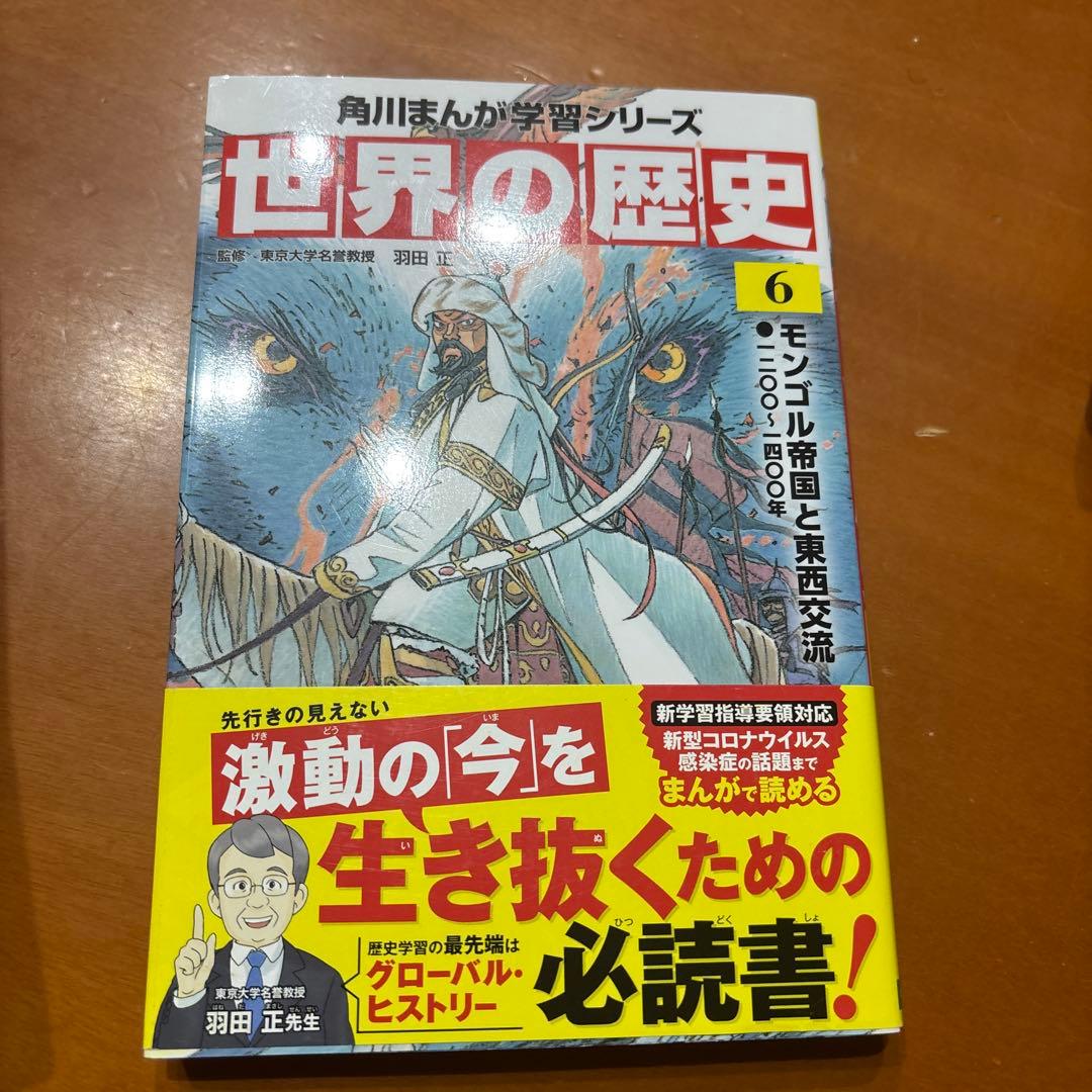 世界の歴史 20冊　まとめ売り