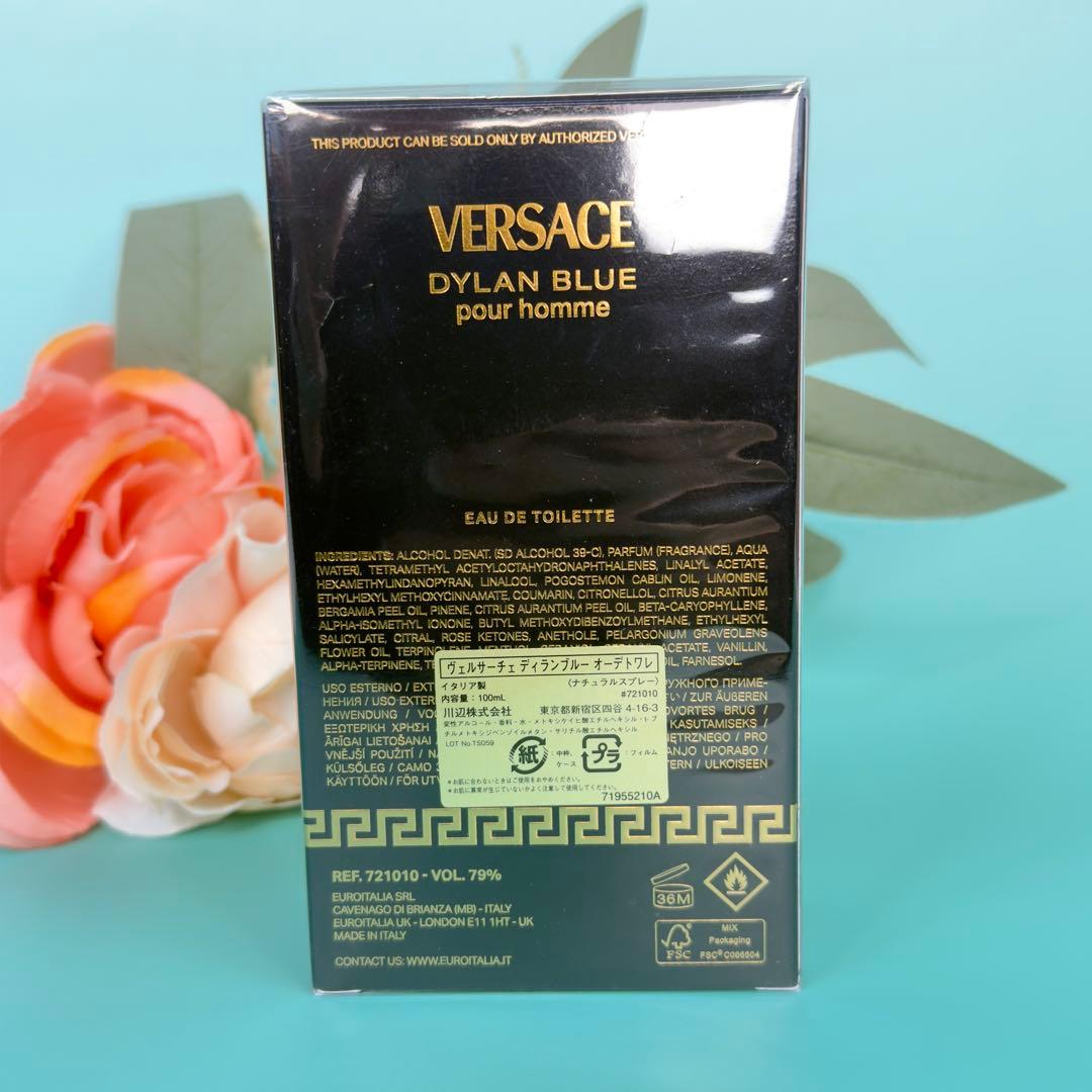 ヴェルサーチ ディランブルー EDT 100ml DYLAN BLUE