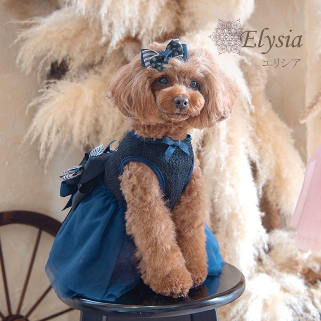 【ちわわん】グラマーイズム　エリシア　ネイビー　サイズＳ