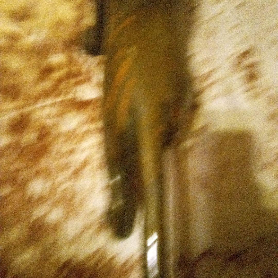 鉄ブロンズライオンの彫刻 約55cm