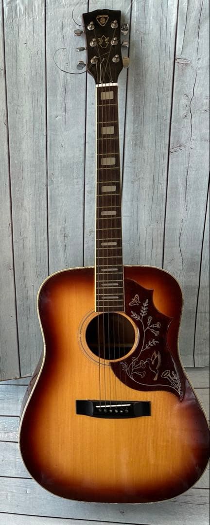 アコースティックギターメーカー不明(H24)