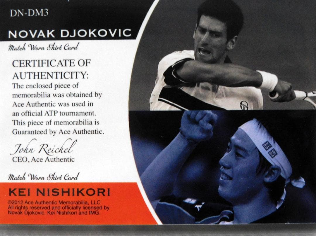 ACE 錦織圭 トレカ 31枚＋ 錦織圭/ジョコビッチ デュアルジャージ カード
