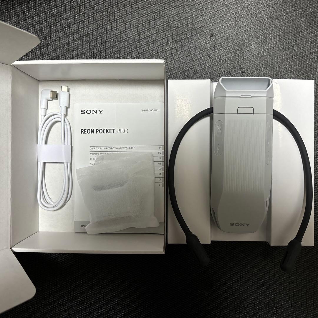SONY REON POCKET PRO　ソニー レオンポケットプロ