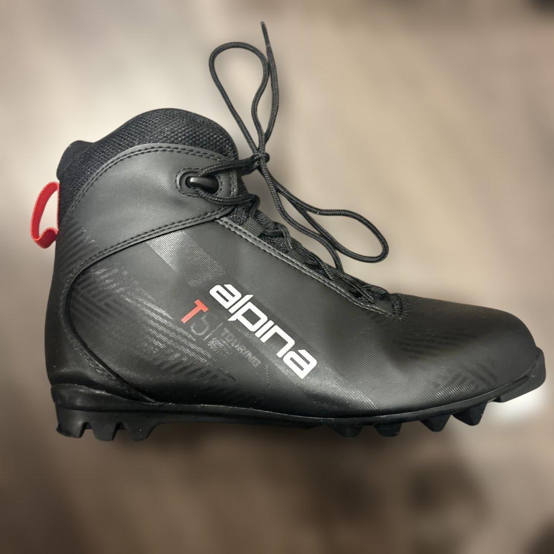 クロスカントリースキーブーツ レディース alpina T 25cm