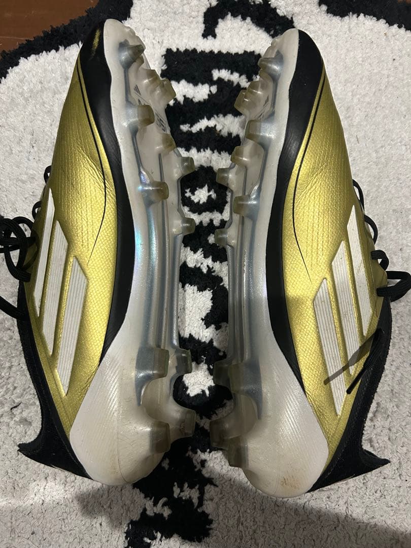 F50 メッシ