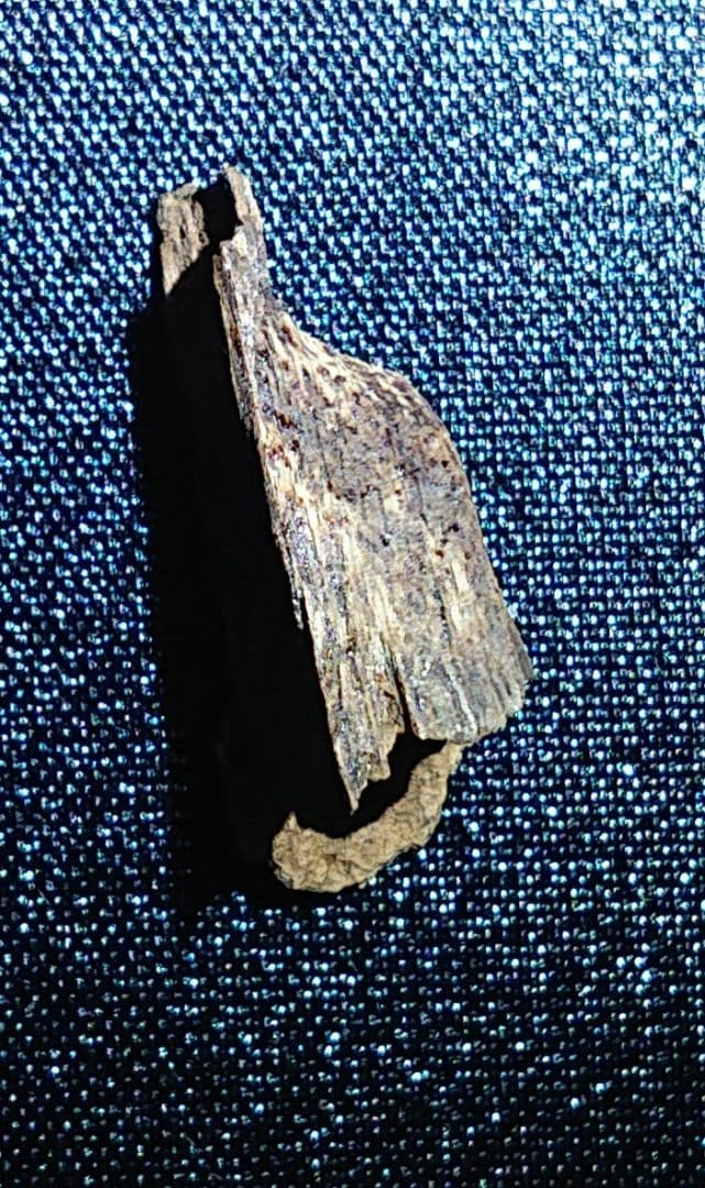 ベトナムフエ産 伽羅 水沈