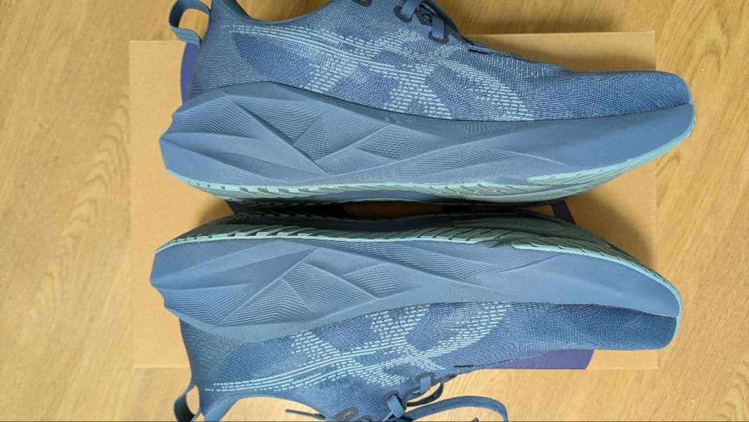 ASICS NOVABRAST5／アシックス ノヴァブラスト5 27.5