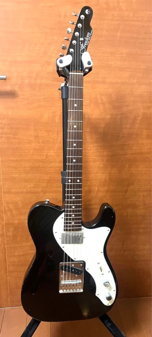 ギター Freedom C.G.R. Black Pepper