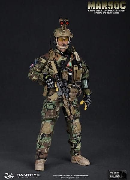 DAMTOYS　MARSOC　TEAM LEDER　78006